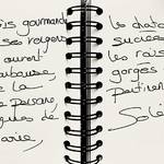 L’inspiration d’un parfum, le carnet à spirales d’Anne notre créatrice 🖋️🤍 
#MerciAngeMichel